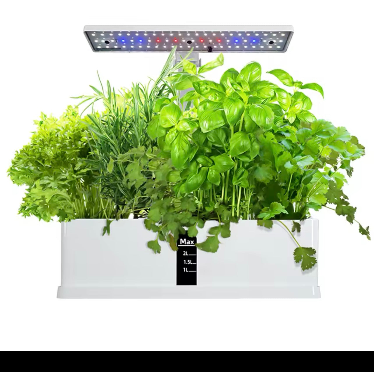 Ecological Smart Hydroponic Garden