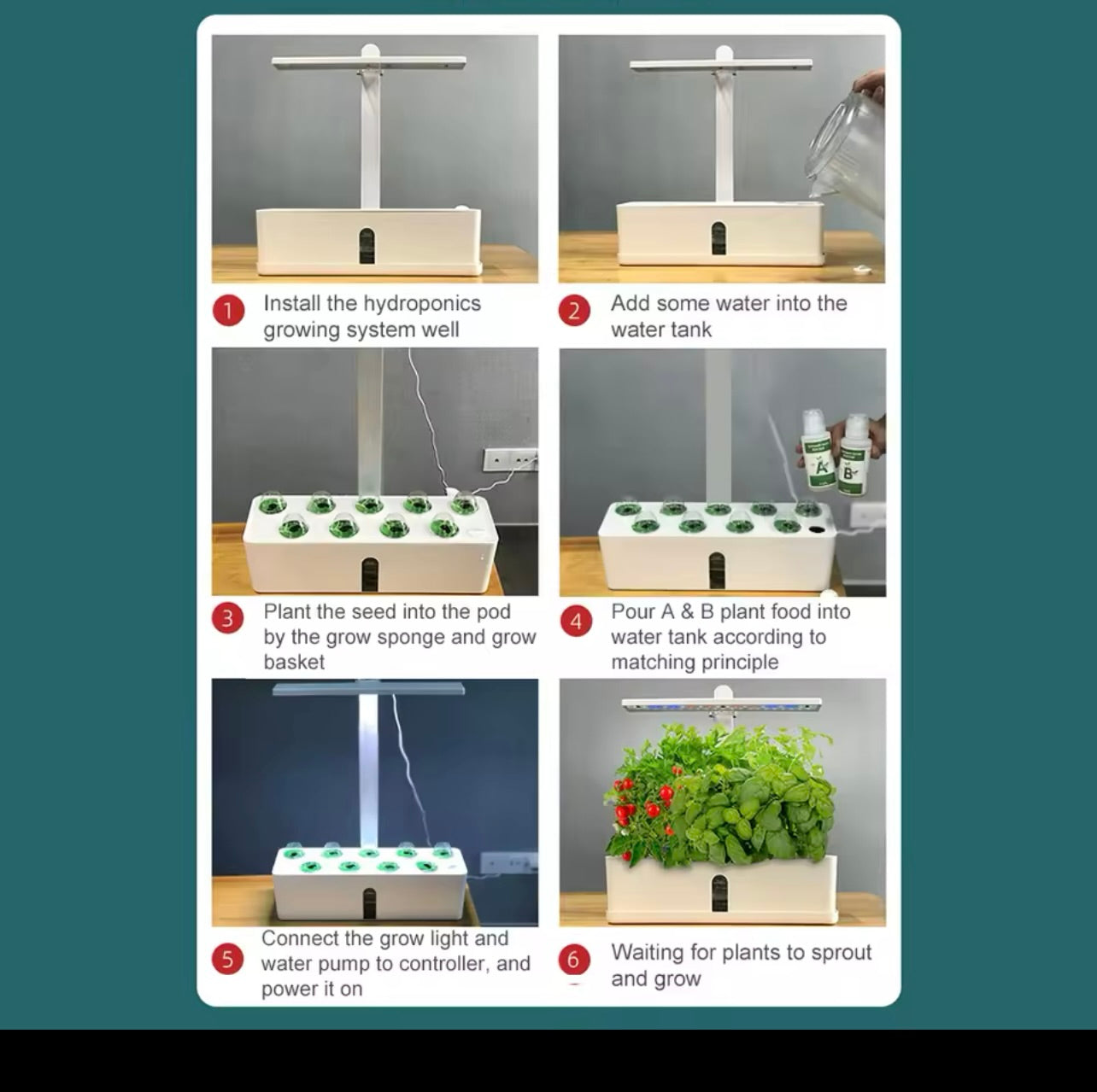 Ecological Smart Hydroponic Garden