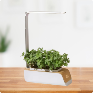 Jardín Cultivo LED Hidropónico Inteligente