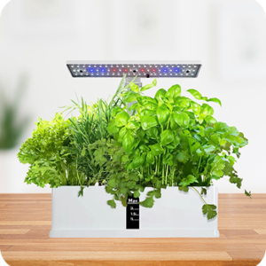 Jardín Hidropónico Inteligente Ecologico